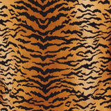 TIGER KNIT JOGGER SET