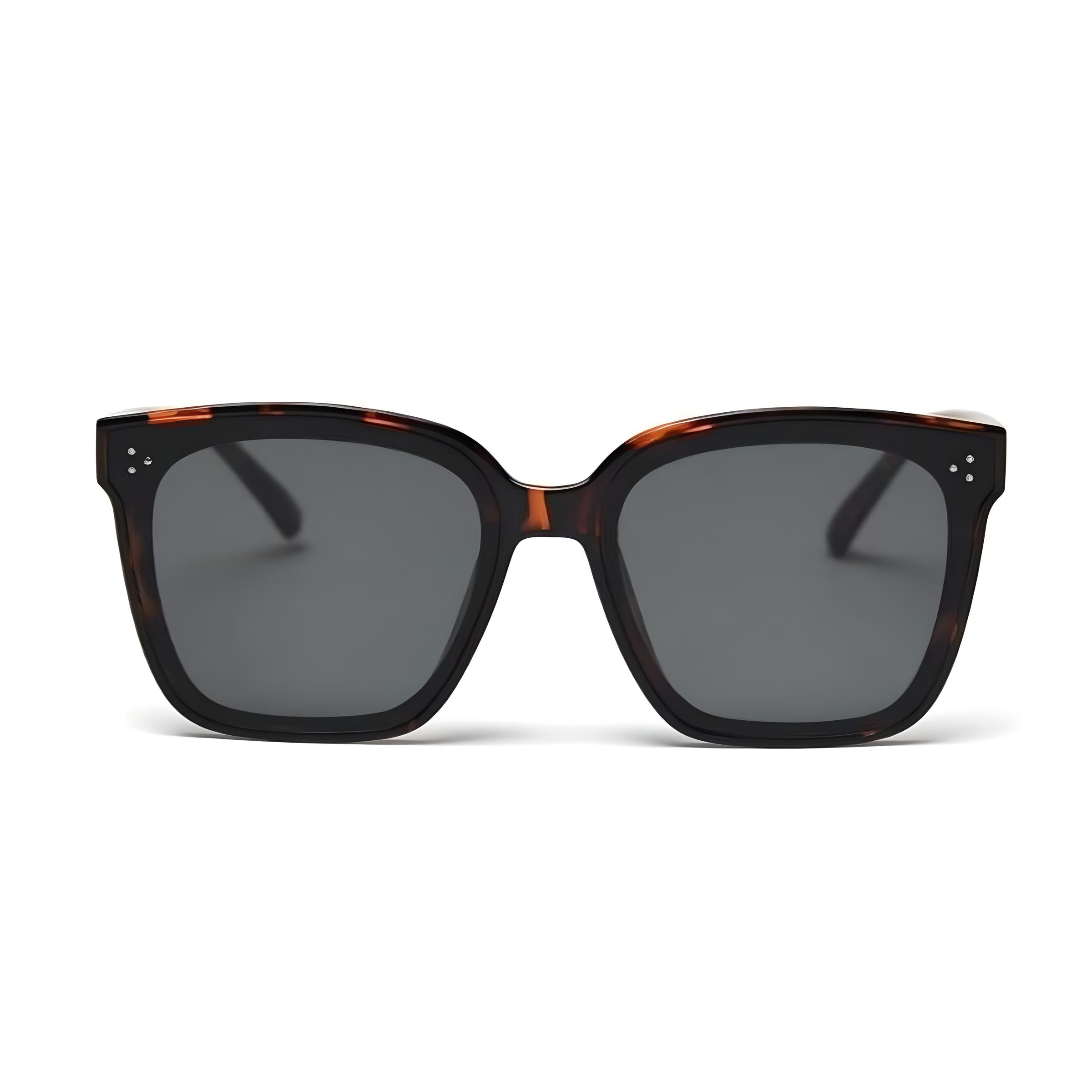 Tortoise Shell Riley Frames RILEY TORTOISE – Shady Lady Eyewear Ltd.